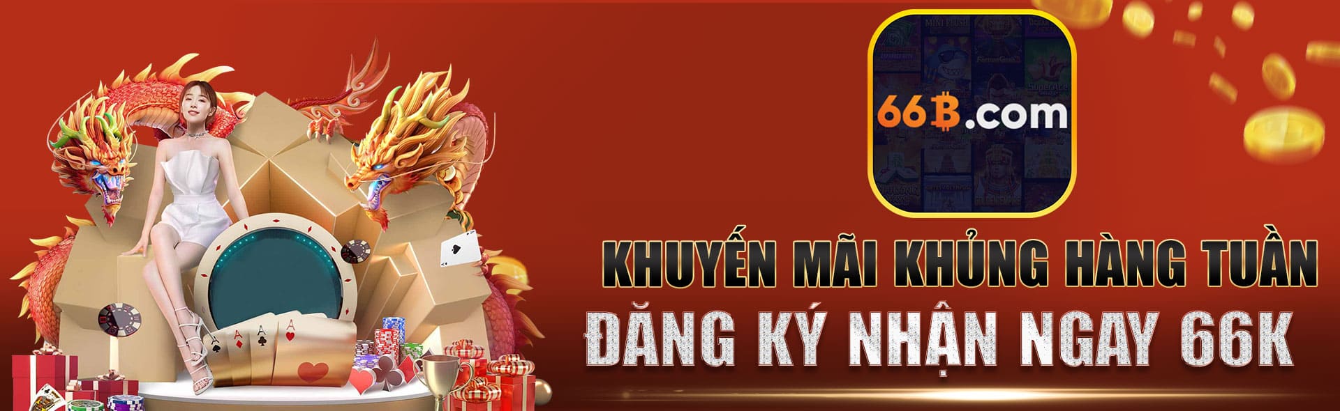 66b banner